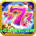 dhoni Elite Gaming App