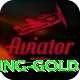 H2Game Gaming Gold