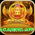 Winli Slots Premium Gaming App